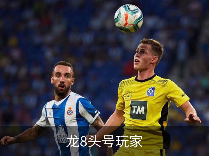 龙8头号玩家简介